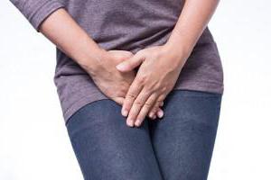 Nozik, chiroyli jinsiy aloqa