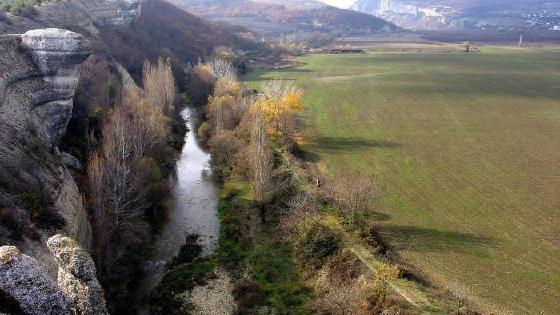 Жыныс адамдармен және мүгедектермен жыныстық қатынас