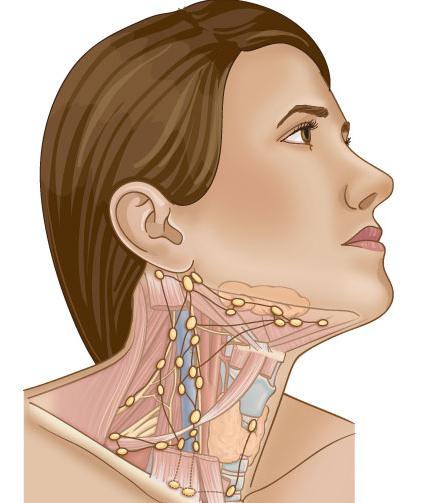 GIF ішіндегі конча