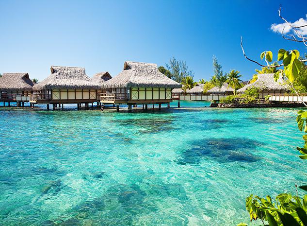 Мен желідегі порнодан оята алмадым. Жапондық порно пранкстер