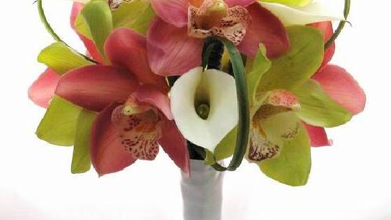 Азиялық трансвестит порно