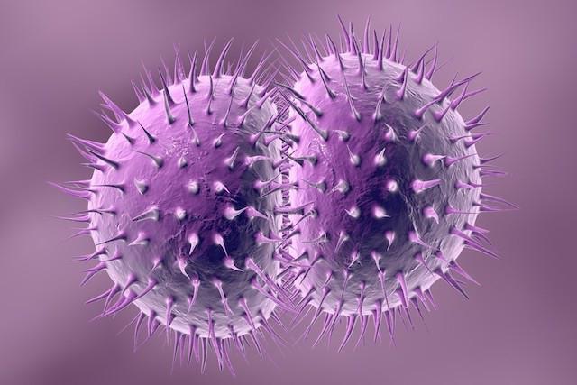 Бастықпен шұлықтағы секс