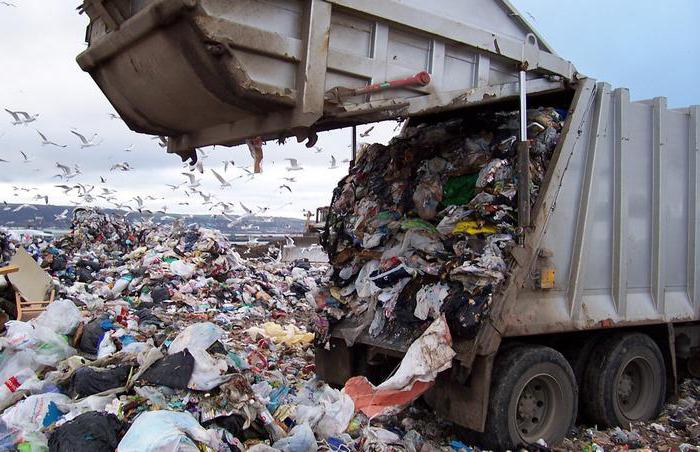 Pelupusan Sisa Apakah Ini