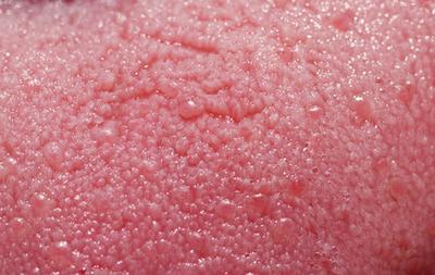 София Буштың жалаңаш суреттері