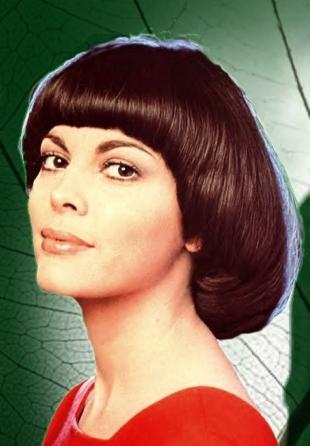 Өнімнен алынған сперматозоидтардың порно видеосы