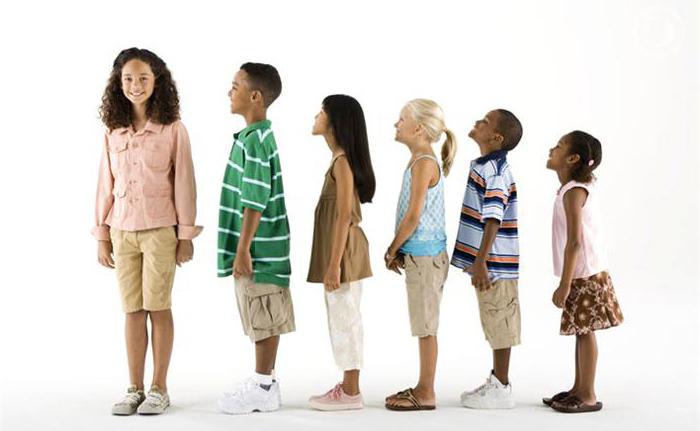 Watch Bull Track a Woman MP4