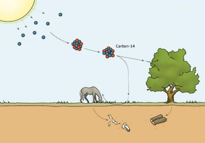 Carbon-14 dating brukes til å bestemme alder på jorden