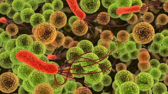 Өзбек әйелдерін хардкор блять Интернетте ресейлік үй порносын көріңіз.