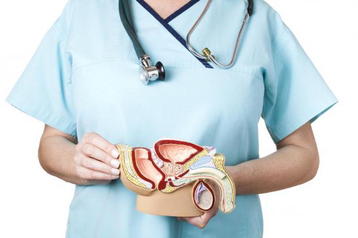 Порно қыз құрбысын аяғымен сипады