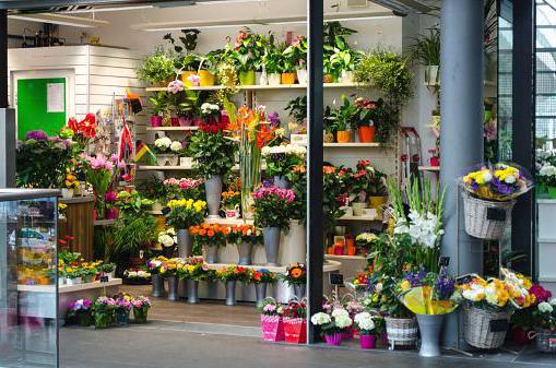 Порно абайсызда есекке кіріп кетті