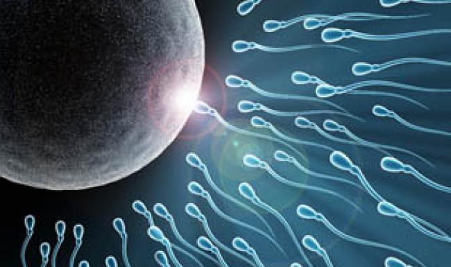 Toplamda jinsiy aloqa